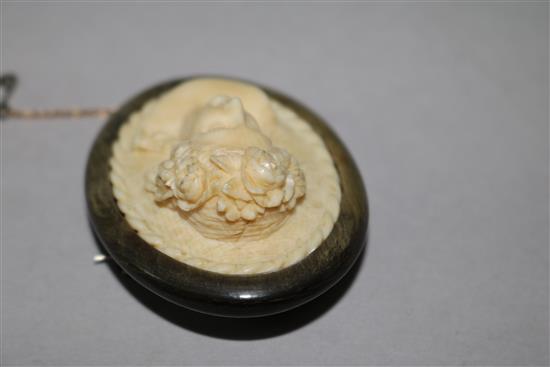 A horn mounted carved ivory cameo brooch, 2in.
